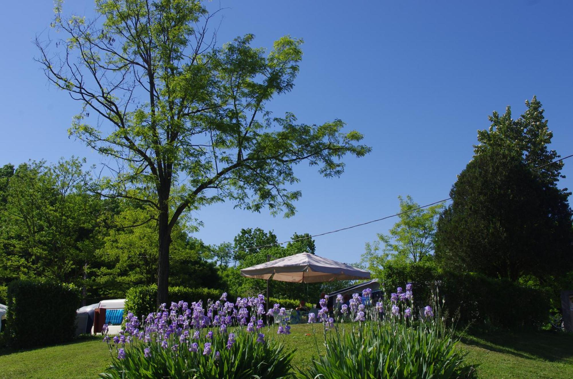 Camping Kanopee Village 3*